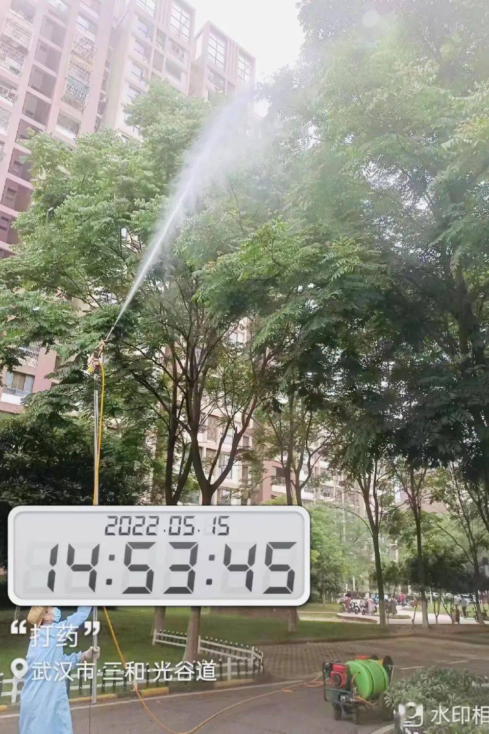 【会员】 嘉信物业丨树上“滴油”不用慌，嘉信除虫来帮忙