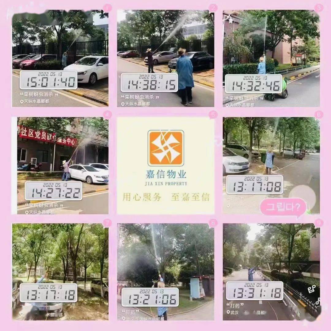 【会员】 嘉信物业丨树上“滴油”不用慌，嘉信除虫来帮忙