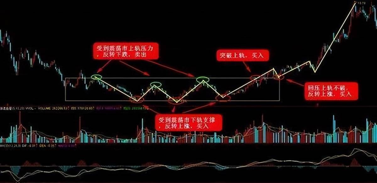 北大女博士罕见发声：不外传的“波段操作”，该如何更好使用呢？
