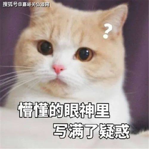 "陪男人睡觉换一袋水果？"上海互助群1000网友围观