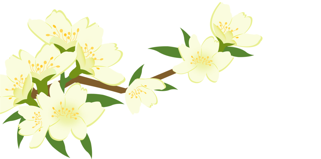 【本月花讯】五月花讯