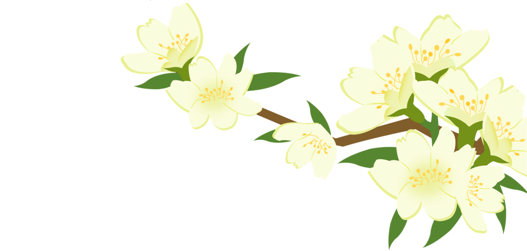 【本月花讯】五月花讯
