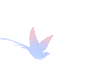 广州期货交易所多岗招聘！往届、应届均可报~
