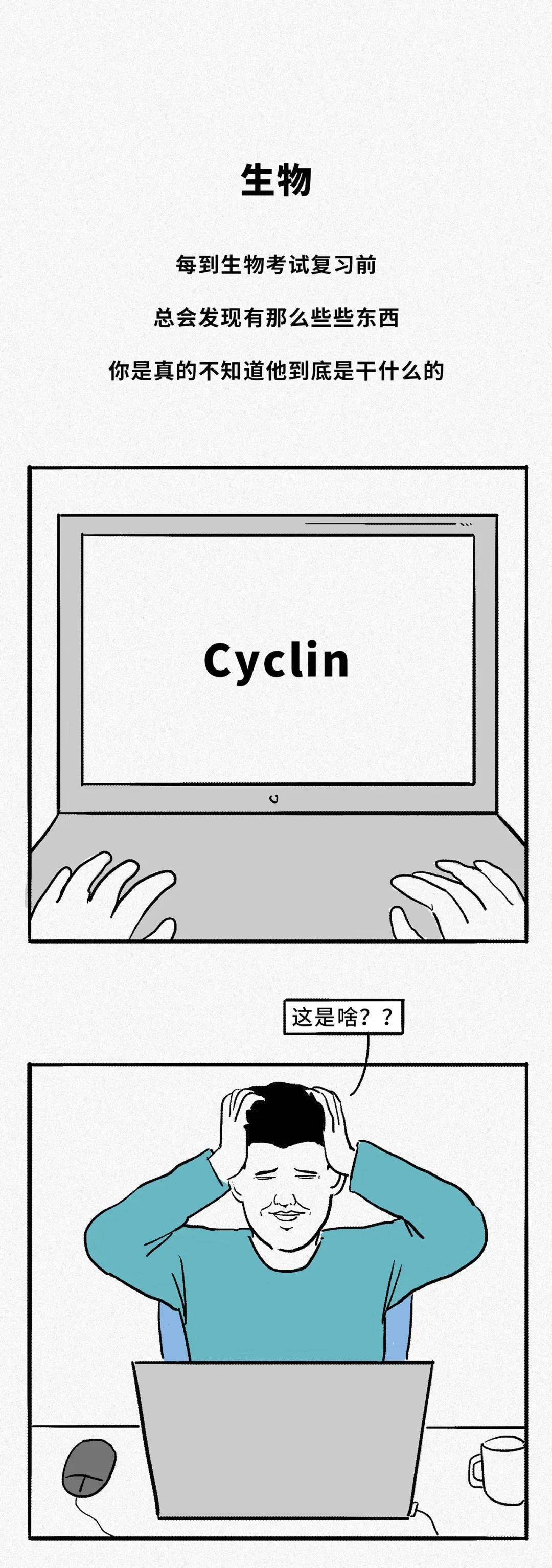 IB查分在即！赶紧温故一下《IB吐槽大会》