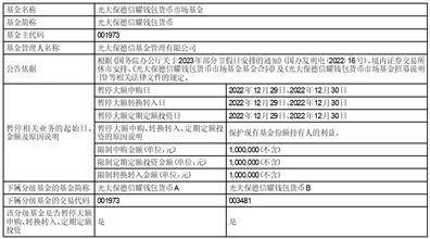 光大保德信货币市场基金“元旦” 假期前暂停代销机构申购及 基金转换转入交易业务的公告