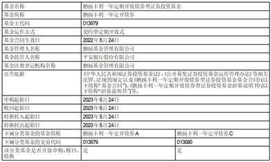 鹏扬丰利一年定期开放债券型证券投资基金 开放日常申购、赎回、转换业务的公告