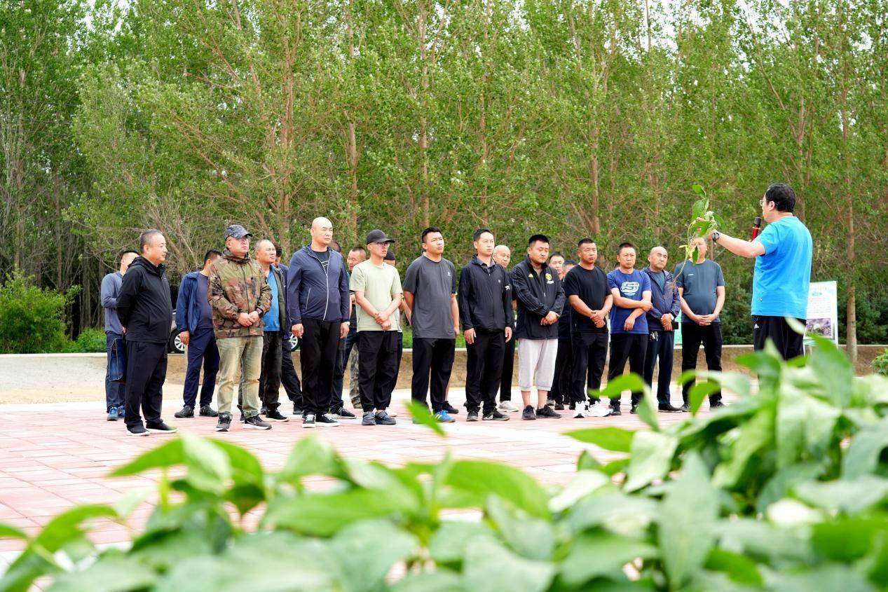 共青农场有限公司：田间培训为种植户“充电蓄能”
