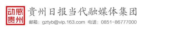 1425名学员参加考试丨2024年中国武术段位制贵州志勋功夫馆考试点升级晋段考试举行