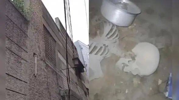 印度一男子寻板球，意外发现隐藏十年之久的白骨，通话记录帮助锁定死亡时间