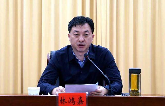 靴子落地！林鸿嘉被查，一个月前被罢免