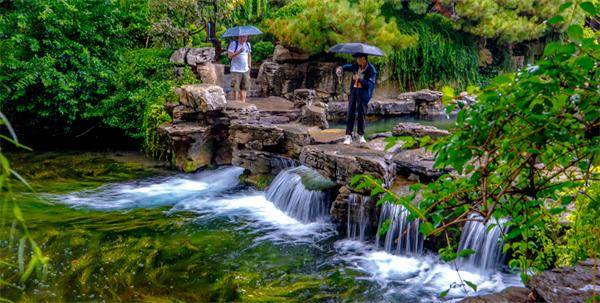 秋色满城 历下有约丨雨润泉城，双节同庆，天下第一泉邀您共赏烟雨诗画