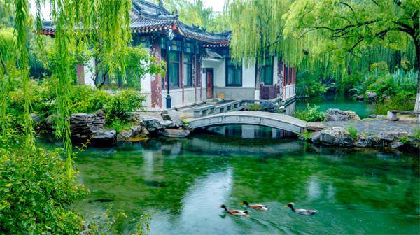 秋色满城 历下有约丨雨润泉城，双节同庆，天下第一泉邀您共赏烟雨诗画