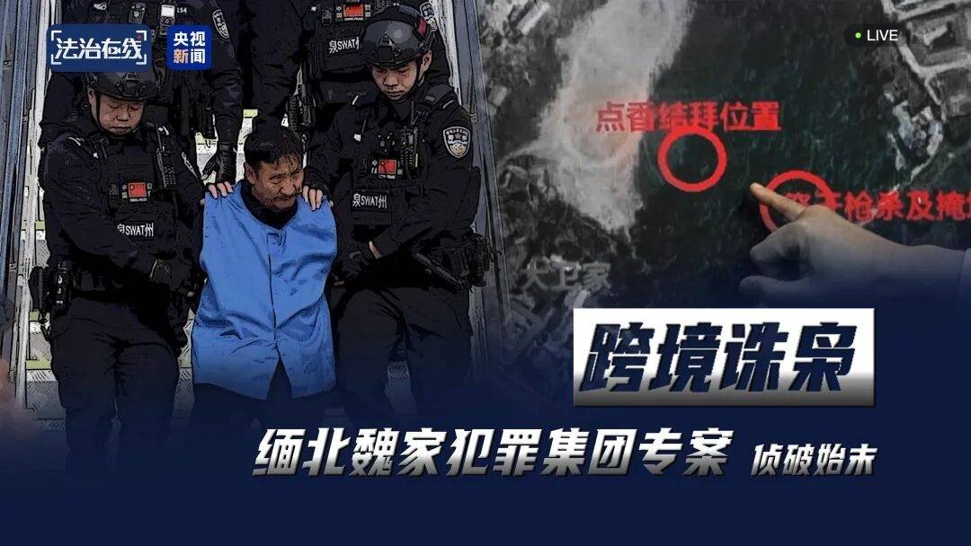 一个中国人卖30多万，接班人和金主结拜杀人祭天……缅北果敢魏家犯罪集团专案细节曝光