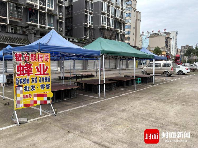 央视曝光“杀人蜂”滥养牟利引关注 四川犍为：正联合调查虎头蜂养殖情况